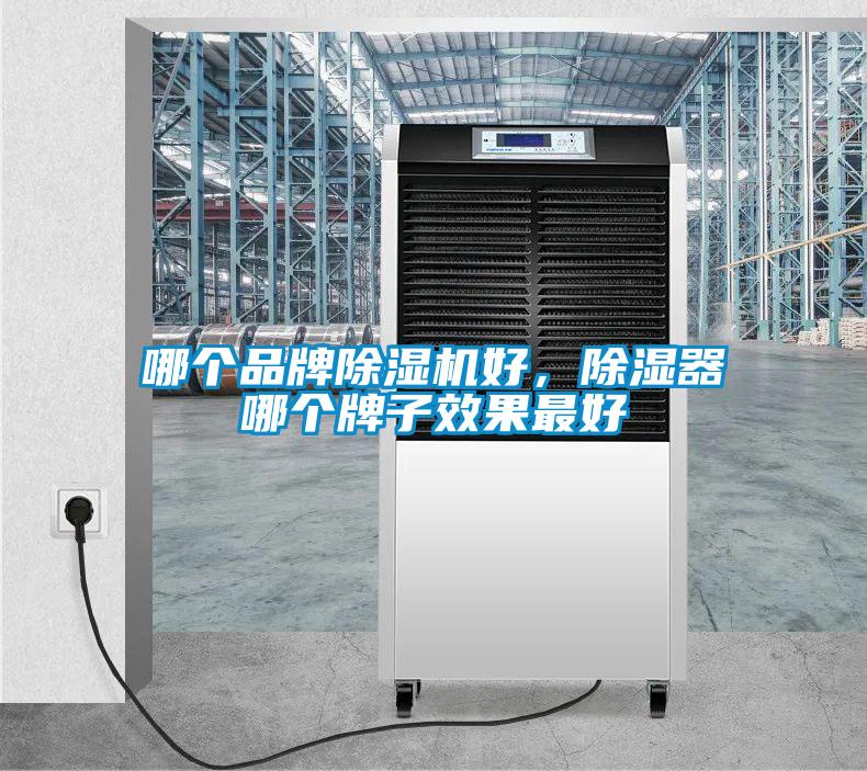 哪個品牌除濕機好，除濕器哪個牌子效果最好