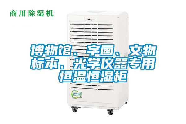 博物館、字畫、文物標本、光學儀器專用恒溫恒濕柜