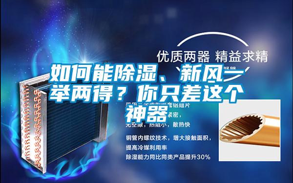 如何能除濕、新風一舉兩得？你只差這個神器