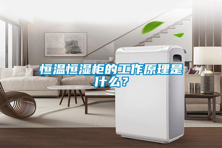恒溫恒濕柜的工作原理是什么？
