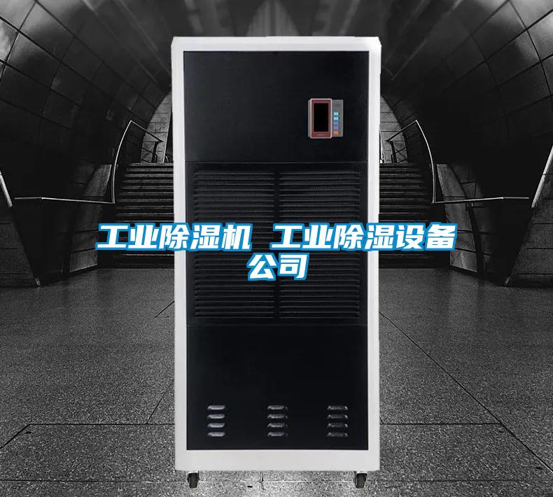 工業(yè)除濕機 工業(yè)除濕設備公司