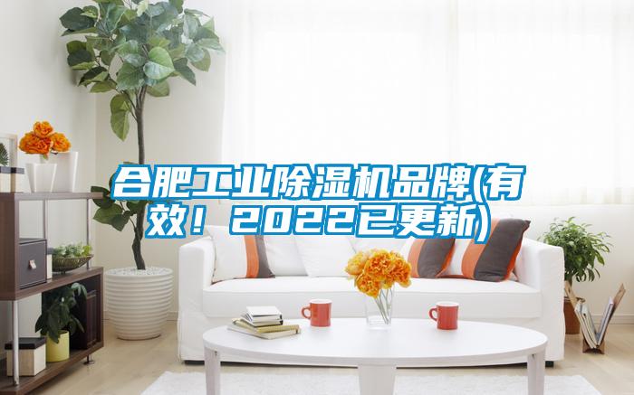 合肥工業(yè)除濕機(jī)品牌(有效！2022已更新)