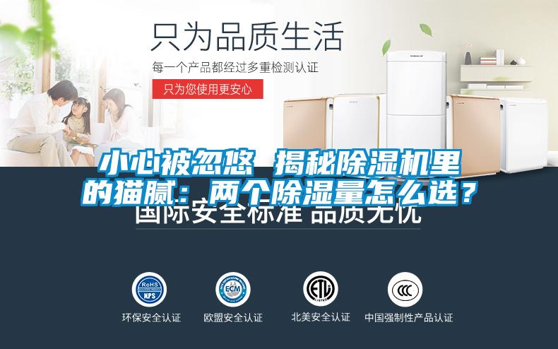 小心被忽悠 揭秘除濕機(jī)里的貓膩：兩個(gè)除濕量怎么選？