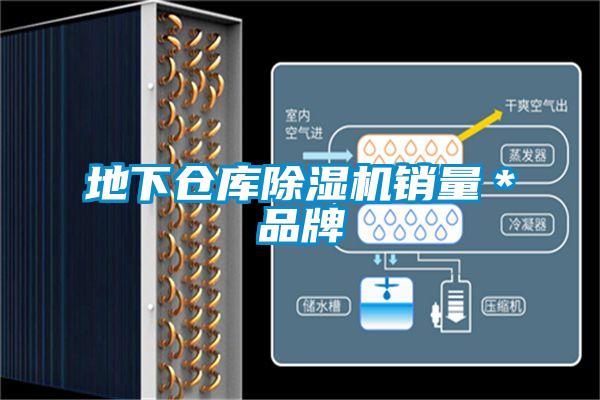 地下倉(cāng)庫(kù)除濕機(jī)銷(xiāo)量*品牌