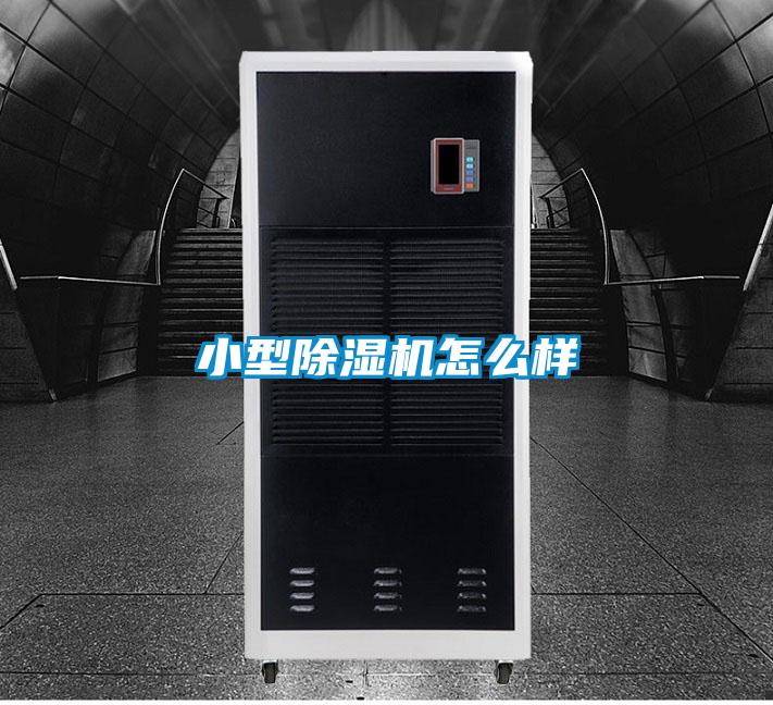 小型除濕機(jī)怎么樣