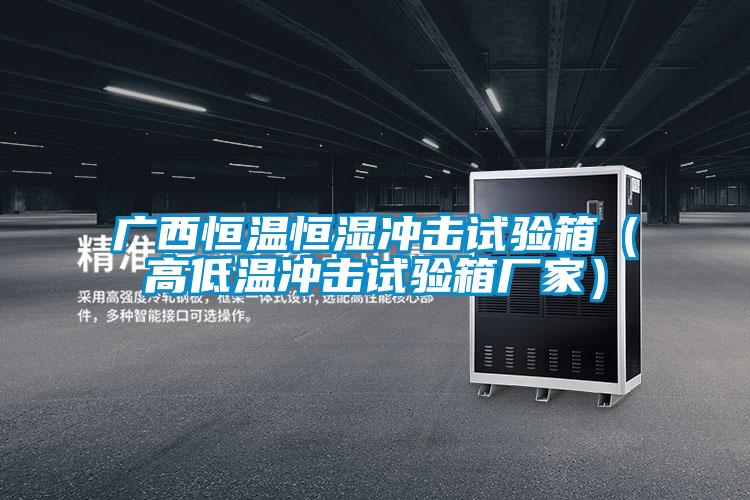 廣西恒溫恒濕沖擊試驗箱(高低溫沖擊試驗箱廠家)