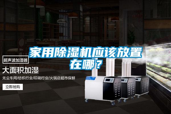 家用除濕機應該放置在哪？