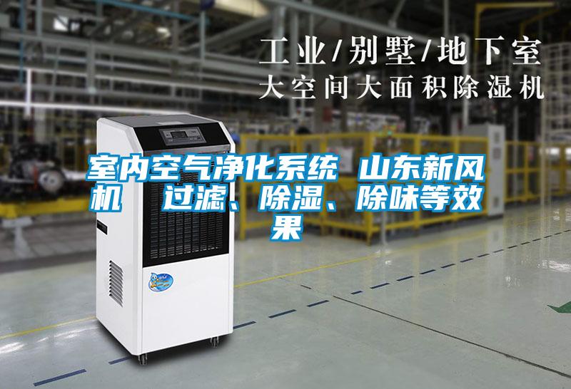 室內(nèi)空氣凈化系統(tǒng) 山東新風(fēng)機(jī)  過濾、除濕、除味等效果