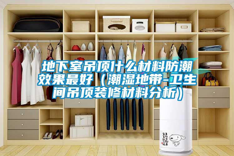 地下室吊頂什么材料防潮效果最好(潮濕地帶-衛(wèi)生間吊頂裝修材料分析)