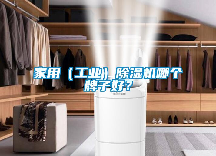家用（工業(yè)）除濕機(jī)哪個(gè)牌子好？