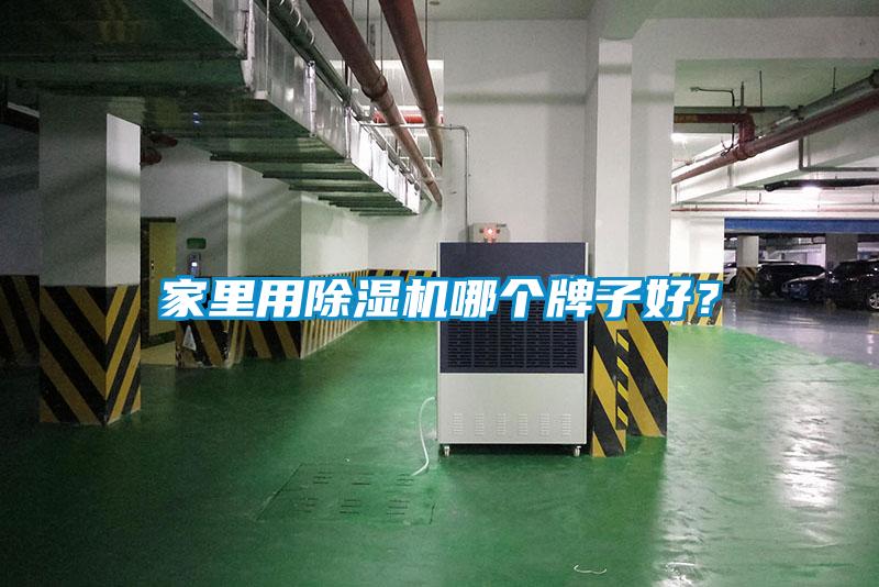 家里用除濕機哪個牌子好？