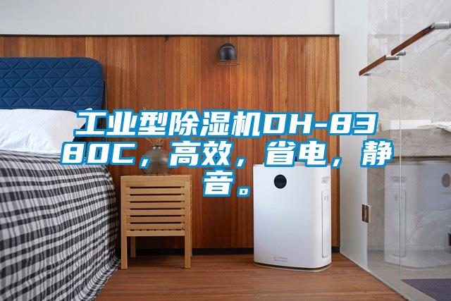 工業(yè)型除濕機DH-8380C，高效，省電，靜音。