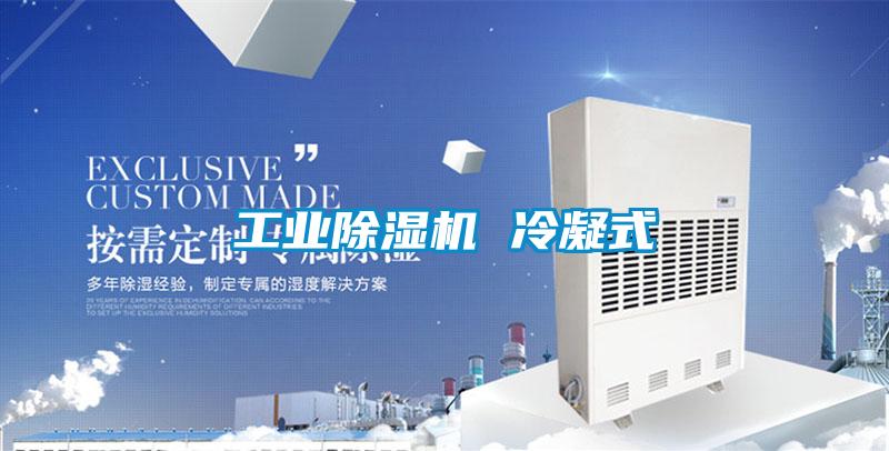 工業(yè)除濕機 冷凝式