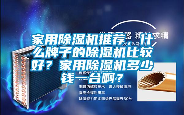 家用除濕機(jī)推薦，什么牌子的除濕機(jī)比較好？家用除濕機(jī)多少錢一臺(tái)啊？