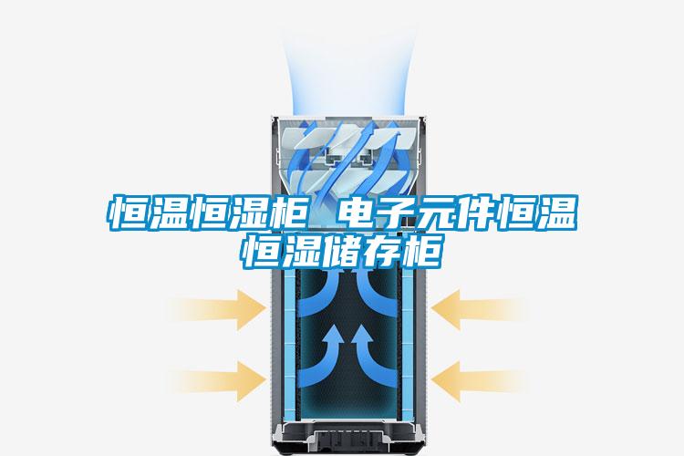 恒溫恒濕柜 電子元件恒溫恒濕儲(chǔ)存柜