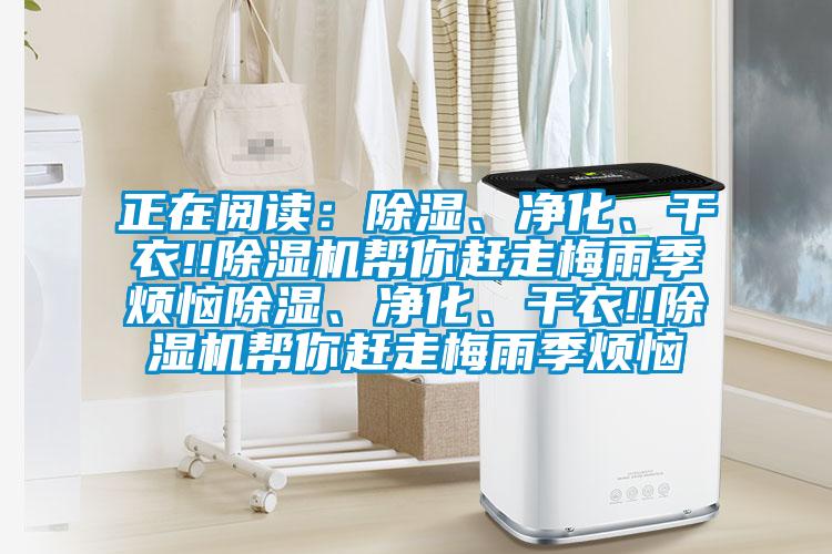 正在閱讀：除濕、凈化、干衣!!除濕機幫你趕走梅雨季煩惱除濕、凈化、干衣!!除濕機幫你趕走梅雨季煩惱