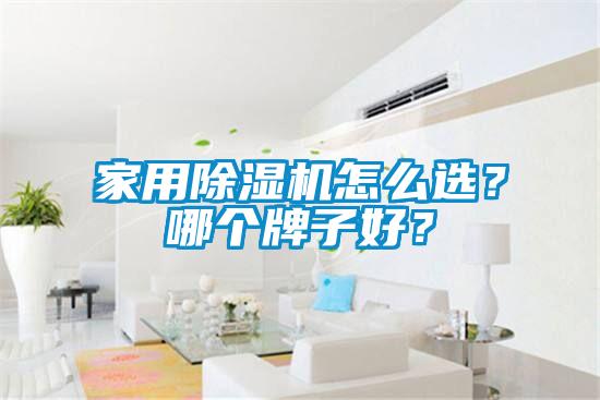 家用除濕機(jī)怎么選？哪個牌子好？