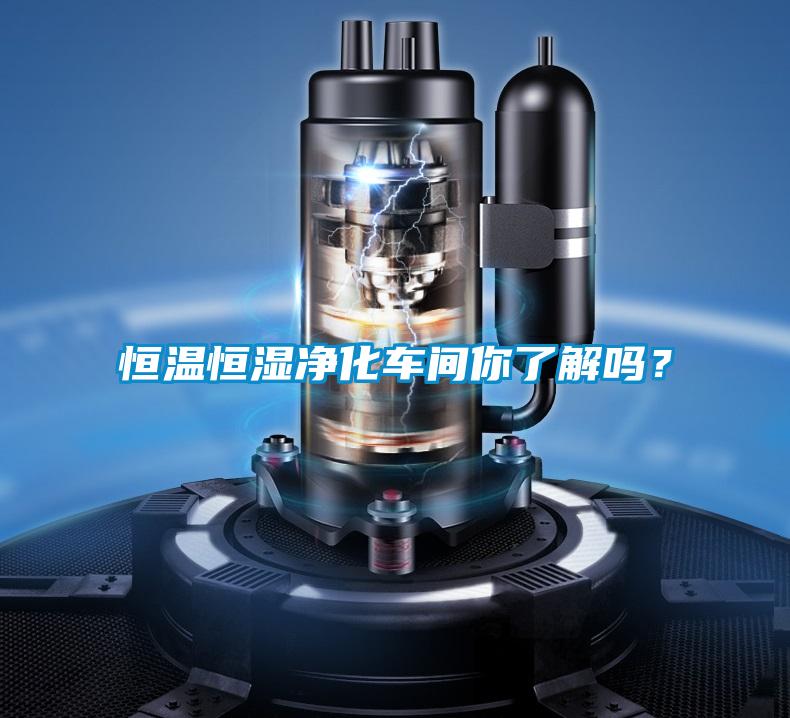 恒溫恒濕凈化車(chē)間你了解嗎？