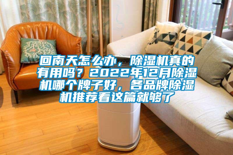 回南天怎么辦，除濕機真的有用嗎？2022年12月除濕機哪個牌子好，各品牌除濕機推薦看這篇就夠了