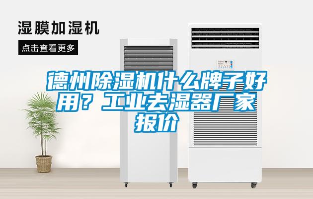 德州除濕機(jī)什么牌子好用？工業(yè)去濕器廠家報(bào)價(jià)