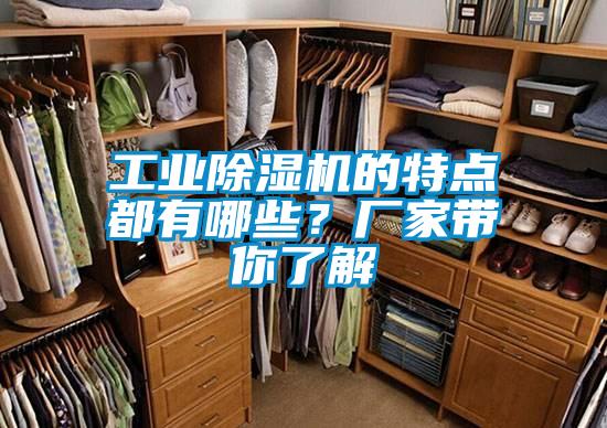 工業(yè)除濕機的特點都有哪些？廠家?guī)懔私?/></p>
						    <p style=