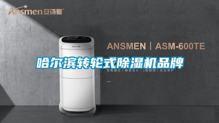 哈爾濱轉(zhuǎn)輪式除濕機(jī)品牌