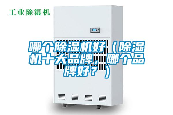 哪個(gè)除濕機(jī)好（除濕機(jī)十大品牌，哪個(gè)品牌好？）