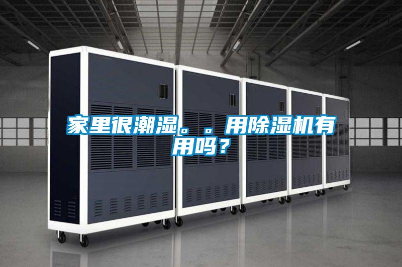 家里很潮濕。。用除濕機有用嗎？