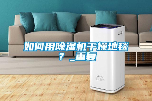 如何用除濕機(jī)干燥地毯？_重復(fù)