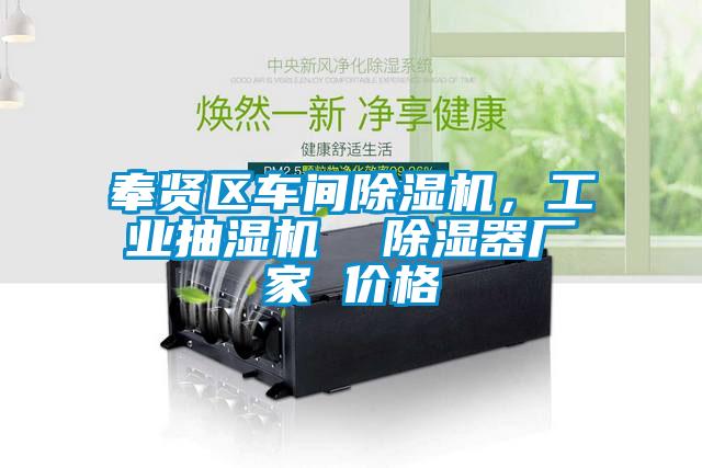 奉賢區(qū)車間除濕機(jī)，工業(yè)抽濕機(jī)  除濕器廠家 價(jià)格