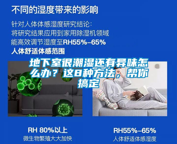 地下室很潮濕還有異味怎么辦？這8種方法，幫你搞定