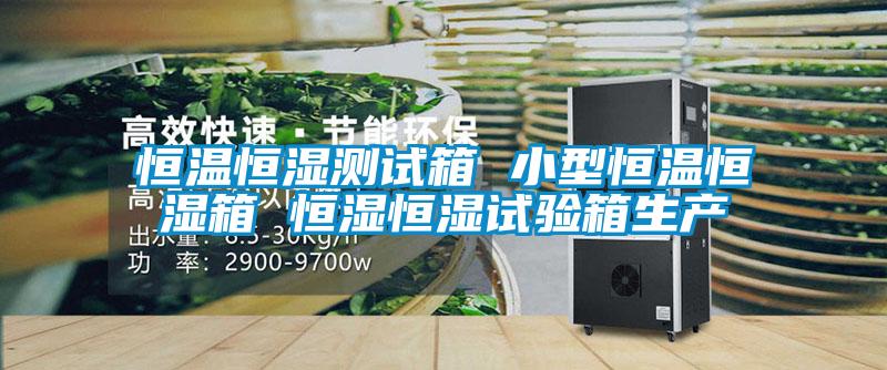 恒溫恒濕測試箱 小型恒溫恒濕箱 恒濕恒濕試驗箱生產(chǎn)