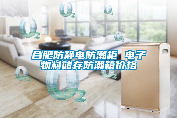 合肥防靜電防潮柜 電子物料儲存防潮箱價(jià)格