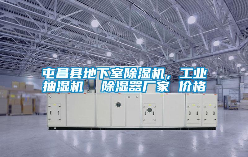 屯昌縣地下室除濕機(jī)，工業(yè)抽濕機(jī)  除濕器廠家 價(jià)格