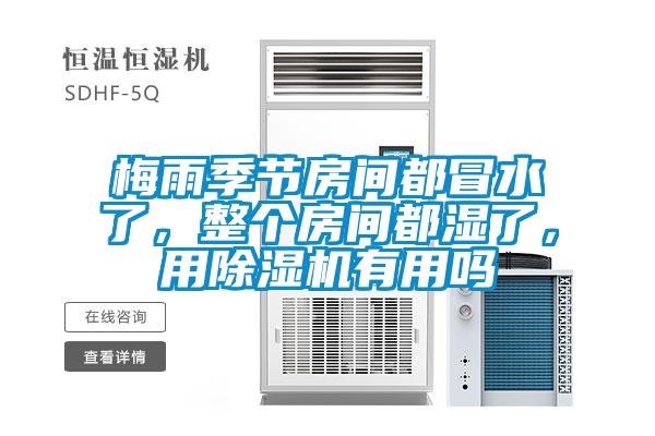 梅雨季節(jié)房間都冒水了，整個(gè)房間都濕了，用除濕機(jī)有用嗎