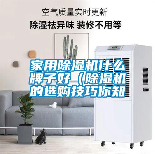 家用除濕機(jī)什么牌子好（除濕機(jī)的選購技巧你知