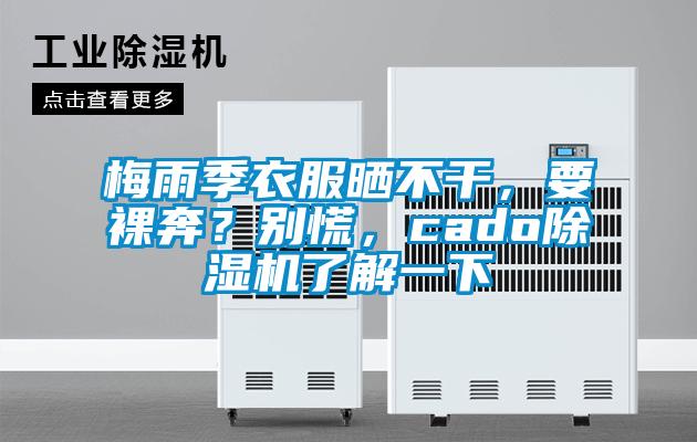 梅雨季衣服曬不干，要裸奔？別慌，cado除濕機了解一下