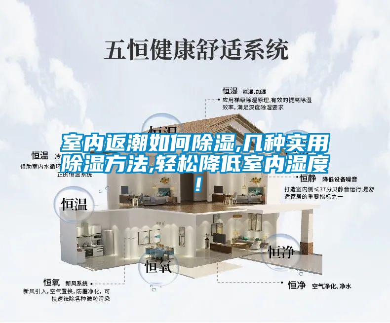 室內(nèi)返潮如何除濕,幾種實(shí)用除濕方法,輕松降低室內(nèi)濕度！