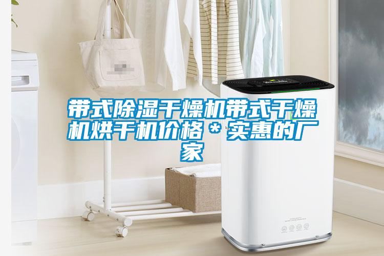 帶式除濕干燥機(jī)帶式干燥機(jī)烘干機(jī)價格*實惠的廠家