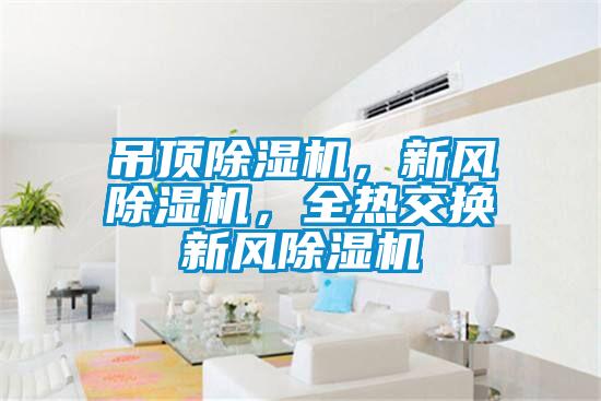 吊頂除濕機(jī)，新風(fēng)除濕機(jī)，全熱交換新風(fēng)除濕機(jī)