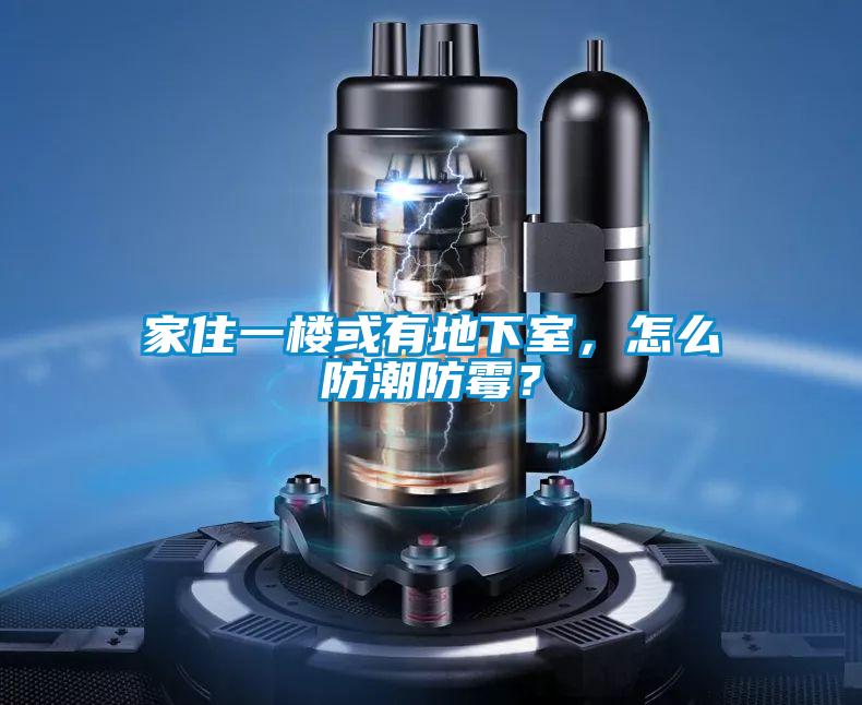 家住一樓或有地下室，怎么防潮防霉？