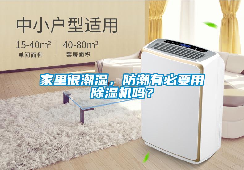 家里很潮濕，防潮有必要用除濕機(jī)嗎？