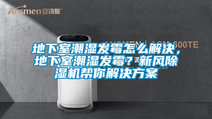 地下室潮濕發(fā)霉怎么解決，地下室潮濕發(fā)霉？新風除濕機幫你解決方案