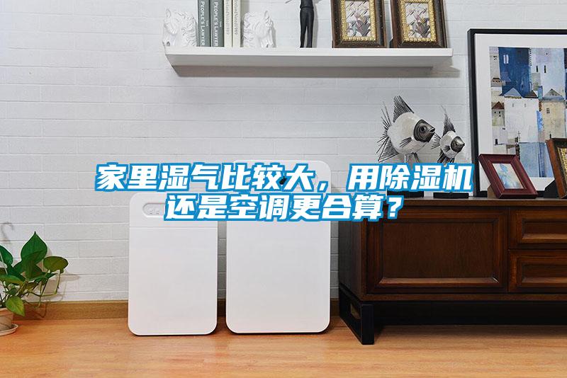 家里濕氣比較大，用除濕機(jī)還是空調(diào)更合算？