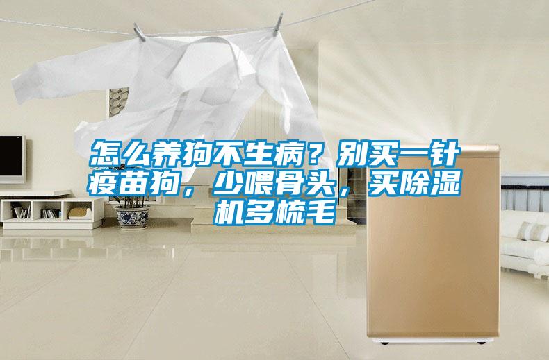 怎么養(yǎng)狗不生??？別買一針疫苗狗，少喂骨頭，買除濕機(jī)多梳毛