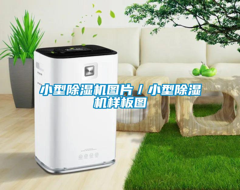 小型除濕機(jī)圖片/小型除濕機(jī)樣板圖