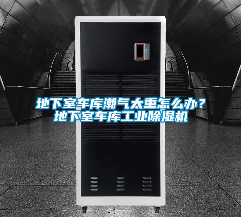 地下室車庫潮氣太重怎么辦？地下室車庫工業(yè)除濕機(jī)