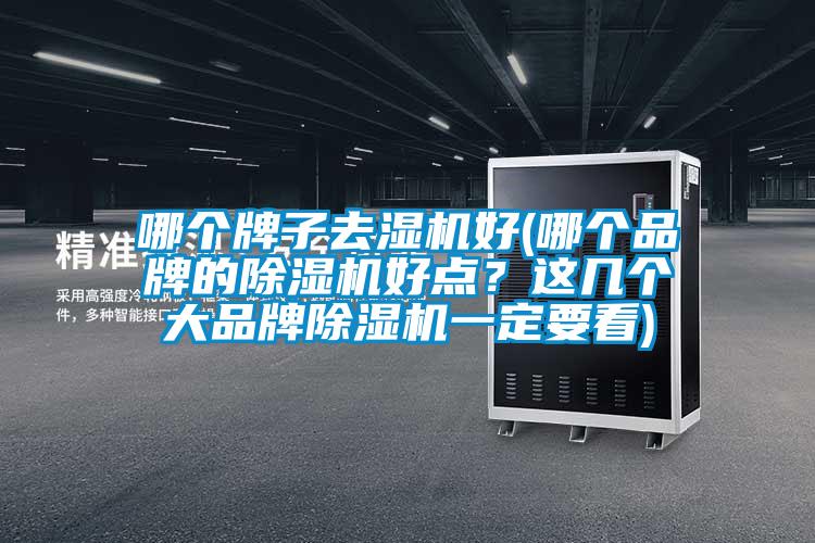 哪個牌子去濕機(jī)好(哪個品牌的除濕機(jī)好點？這幾個大品牌除濕機(jī)一定要看)