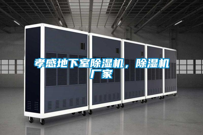 孝感地下室除濕機(jī)，除濕機(jī)廠家