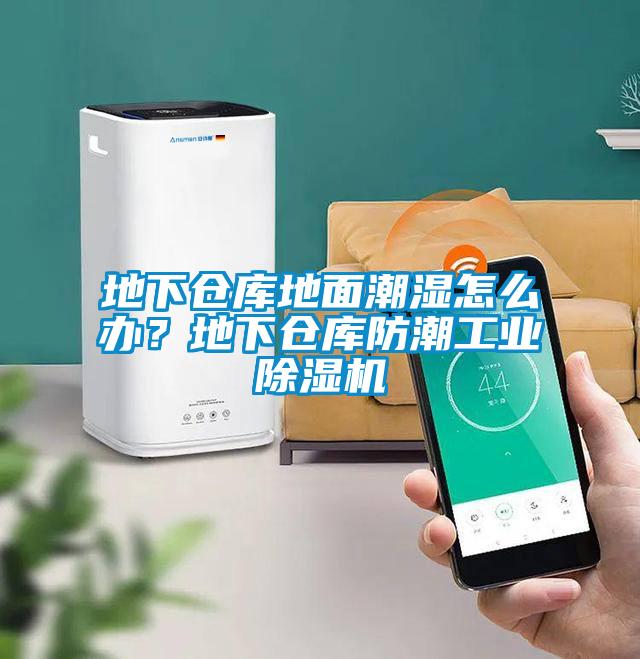 地下倉庫地面潮濕怎么辦？地下倉庫防潮工業(yè)除濕機